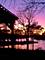 26874 N Countryside Lake, Mundelein, IL 60060