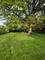 2219 S 13th, Broadview, IL 60155