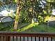 3905 N Oak Park, Chicago, IL 60634