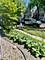 4118 N Kedzie, Chicago, IL 60618