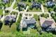 45 Silo Ridge, Orland Park, IL 60467