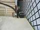 8223 S Langley, Chicago, IL 60619
