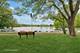 420 N East Gateway, Tower Lakes, IL 60010
