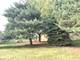 479 Johnson, Marengo, IL 60152