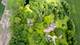 16306 Kishwaukee Valley, Woodstock, IL 60098