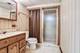 1310 Vinewood, Willow Springs, IL 60480