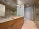 270 E Pearson Unit 602, Chicago, IL 60611