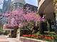 480 N Mcclurg Unit 807, Chicago, IL 60611