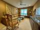 8100 W Foster Unit 504, Niles, IL 60714