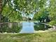 8100 W Foster Unit 504, Niles, IL 60714