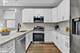 4435 S Prairie Unit 1, Chicago, IL 60653