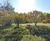 204 Luana, Joliet, IL 60433