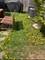 2863 W Belden Unit 2, Chicago, IL 60647