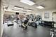 1100 N Lake Shore Unit 33A, Chicago, IL 60611