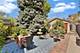 344 W Goethe, Chicago, IL 60610