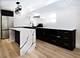 440 E 49th Unit B, Chicago, IL 60615