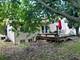 5301 Imperial, Richton Park, IL 60471