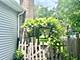 1463 Lantern, Naperville, IL 60540