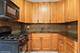 1315 N Baldwin Unit 2C, Palatine, IL 60074