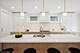 6947 N Overhill, Chicago, IL 60631