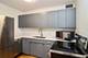 910 N Lake Shore Unit 1216, Chicago, IL 60611