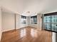 1111 S Wabash Unit 1805, Chicago, IL 60605