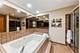 37782 N Cedar Lake, Lake Villa, IL 60046