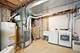 11220 Brigitte, Orland Park, IL 60467