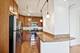 450 W Briar Unit 3K, Chicago, IL 60657