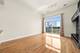 1935 S Archer Unit 622, Chicago, IL 60616