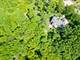 41W180 Highwood, Elburn, IL 60119