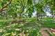 1550 Poplar Creek, Hoffman Estates, IL 60169