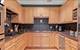 55 E Erie Unit 1504, Chicago, IL 60611
