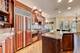 6256 Wildwood, Burr Ridge, IL 60527