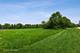 850 Gage, Lake Forest, IL 60045