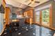 674 Goldenrod, Bolingbrook, IL 60440