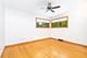 3545 Halsted, Steger, IL 60475