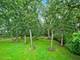 11315 77th, Burr Ridge, IL 60527