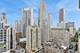 25 E Superior Unit 2403, Chicago, IL 60611
