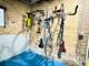 2344 W Cortez Unit 1R, Chicago, IL 60622