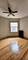 4856 W Dakin Unit 2, Chicago, IL 60641