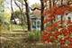 1440 E Lincoln, Dekalb, IL 60115