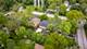 2533 Hickory, Homewood, IL 60430