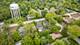2533 Hickory, Homewood, IL 60430