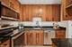 450 W Briar Unit 12G, Chicago, IL 60657