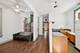 1329 W Nelson, Chicago, IL 60657