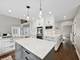 1002 Elmdale, Glenview, IL 60025