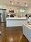 8816 Kenton, Skokie, IL 60076