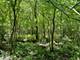Lot 0 Pine, Mchenry, IL 60051
