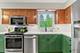 925 S Chestnut, Arlington Heights, IL 60005